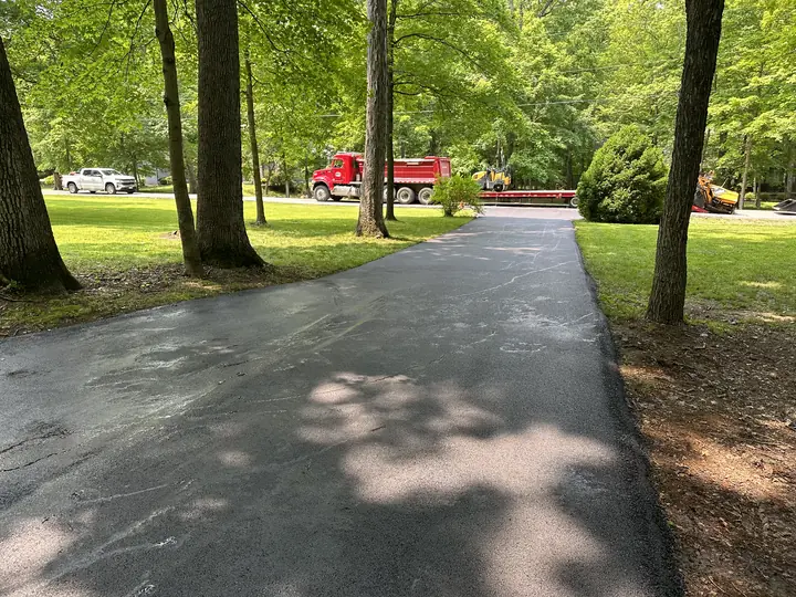 Asphalt driveway running under tall hardwoods past a green lawn